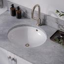 Dearborn Universal Pop Down Sink Drain in Brushed Nickel 