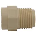 Cream CTS CPVC Male Adapter 