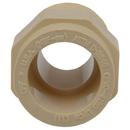 Cream CTS CPVC Male Adapter 