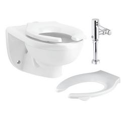 Elongated Wall Mount Flush Valve Toilet Bundle