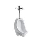 Urinal and Flush Valve Bundle 