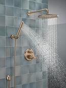 Delta Universal Showering Components: 10 Single-Function Raincan Shower Head 