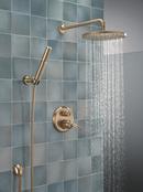 Delta Universal Showering Components: 10 Single-Function Raincan Shower Head 