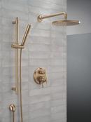 Delta Universal Showering Components: 10 Single-Function Raincan Shower Head 