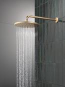 Delta Universal Showering Components: 10 Single-Function Raincan Shower Head 