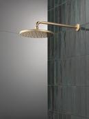 Delta Universal Showering Components: 10 Single-Function Raincan Shower Head 