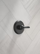 Delta Bonacci: 14 Series Valve Only Trim 