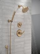 Delta Bonacci: 14 Series Shower Trim 
