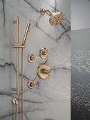 Delta Bonacci: 14 Series Shower Trim 