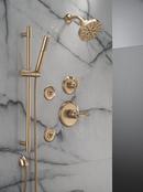 Delta Bonacci: 14 Series Shower Trim 