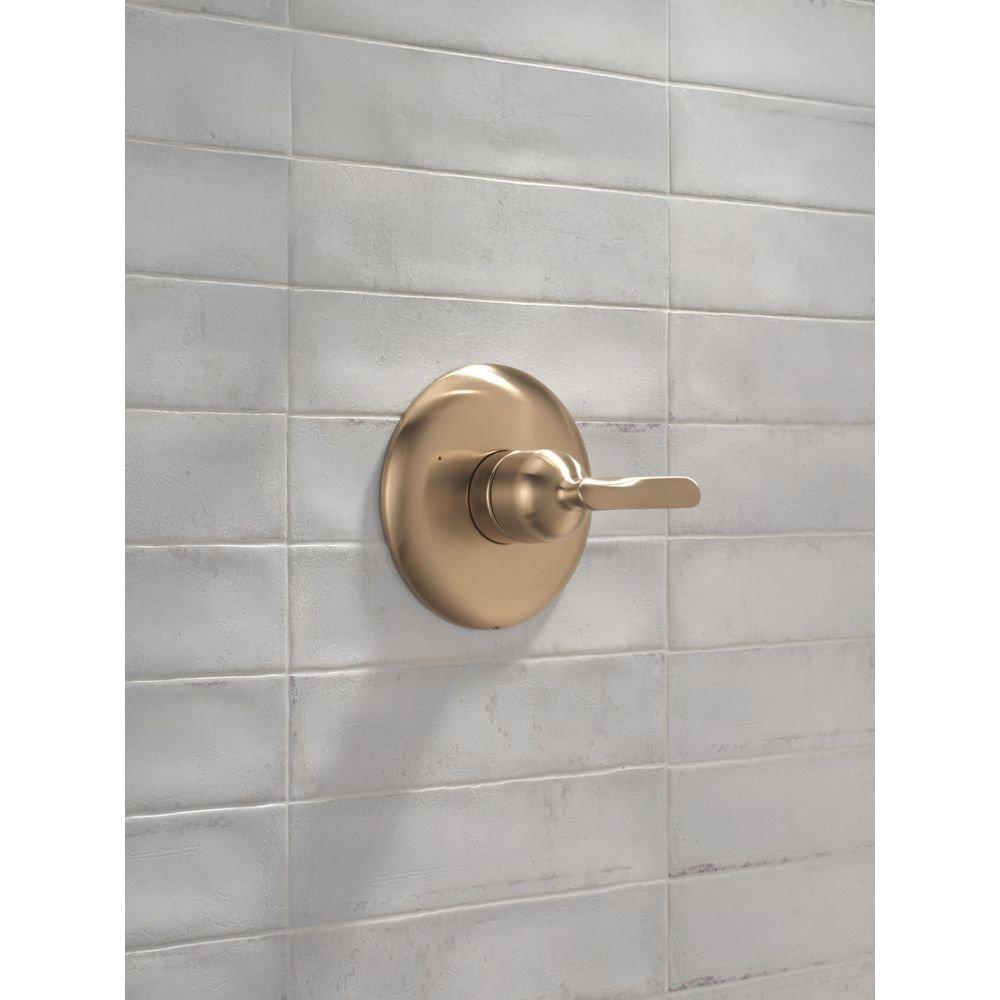 Delta Bonacci: 14 Series Valve Only Trim 