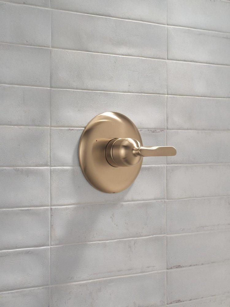 Delta Bonacci: 14 Series Valve Only Trim 