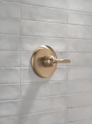 Delta Bonacci: 14 Series Valve Only Trim 