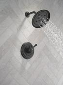 Delta Cassidy: 17 Series Shower Trim 