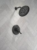 Delta Cassidy: 17 Series Shower Trim 