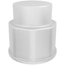Spigot Fitting 1-1/8 in. Thread Closed Cap 