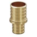 1-1/2 in. x 3/4 in. Brass PEX Coupling 