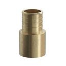 2 in. Male Sweat x 2 in. Brass PEX Adapter 