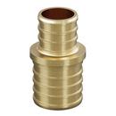 1-1/2 in. x 1 in. Brass PEX Coupling 