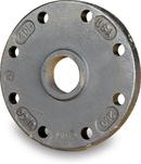 8 x 2 in. IPT Ductile Iron C110 Tap-on-Pipe Blind Flange