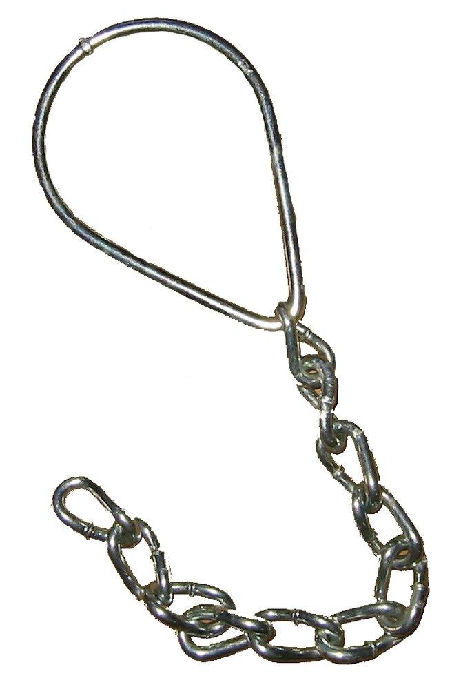 Mueller Company 5-1/4 in. A454 Super Centurion&reg; 250 Fire Hydrant Cap Chain 