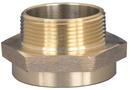 3 in. FNPT x 2-1/2 in. MNST Brass Hex Nipple