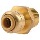 1/4" X 1/2" MNPT Reducing Adapter