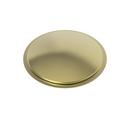 Newport Brass Forever Brass - PVD 2 in. Solid Top Faucet Hole Cover 