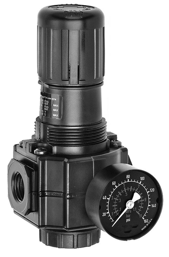 Dixon Valve & Coupling Basic Air Regulator with Gauge 