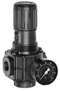 1/2 in. Basic Air Regulator with Gauge