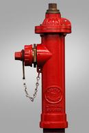 Red 4 ft. FIP x NST Assembled Fire Hydrant