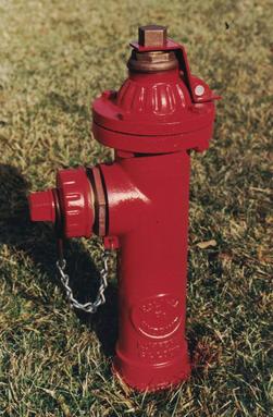 Eclipse&trade; #2 4 ft. FIPT x NST 2 x 2-1/2 in. Assembled Fire Hydrant