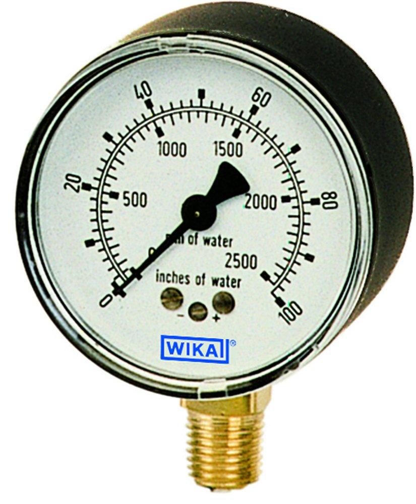 WIKA Black 2-1/2 x 1/4 in. Brass Lower Mount Pressure Gauge 