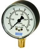 2-1/2 x 1/4 in. 10 psi Brass Lower Mount Pressure Gauge