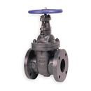 2-1/2 in. Cast Iron Flanged Gate Valve