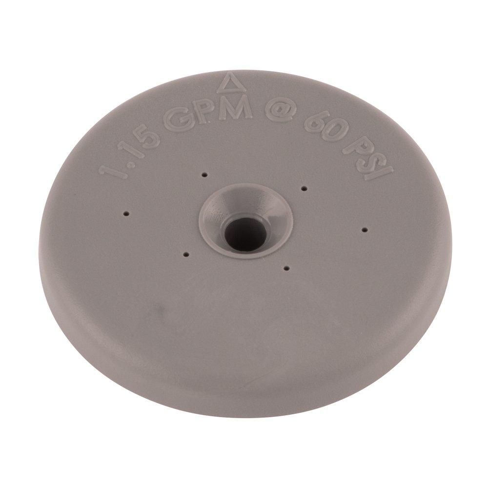 T&S Brass Grey Spray Face For B107 