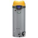 100G TALL  199kBTU 0-10100 PWR-1A ASME 160PSI