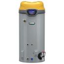 119G TALL  300kBTU 0-10100 PWR-1A 160PSI
