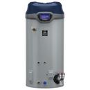 119G TALL 300kBTU 0-10100 PWR-1 A ASME 160PSI