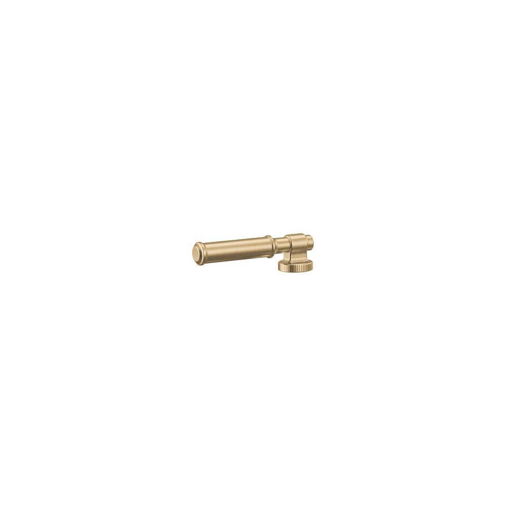 Coin Edge Lever Handle for Bridge Faucet in Brilliance&reg; Luxe Gold&reg; 