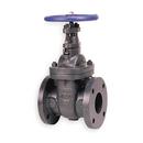 Ferguson Enterprises&reg; Cast Iron Flanged Gate Valve 