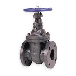 3 in. Cast Iron Flanged Gate Valve