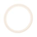 Topline Process Equipment White Sanitary Teflon Clamp Gasket 