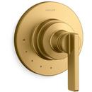 Castia by Studio McGee 1 Handle Volume Control Valve Trim - Less Valve 
