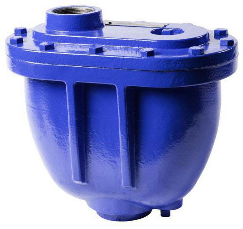 Griswold Industries NPT Cast Iron 300 psi Air Release & Vacuum Valve 