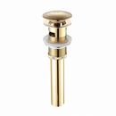 Brasstech Satin Gold Lavatory Drain 