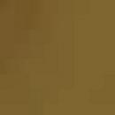 Brasstech Uncoated Polished Brass 1-1/2 in. P-Trap in Satin Bronze - PVD 