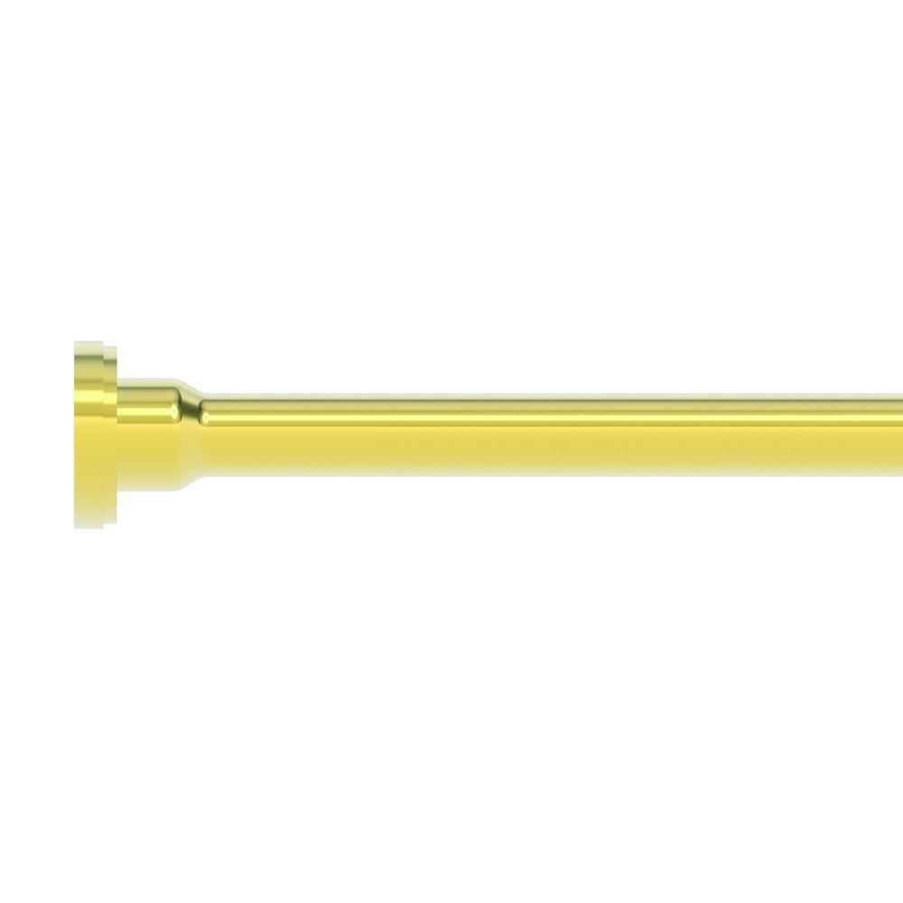 Brasstech Forever Brass - PVD 3/8 x 20 in. Supply Tube 