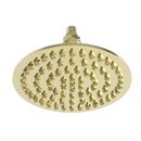 Newport Brass Uncoated Polished Brass - Living Single Wide and Rain Showerhead 