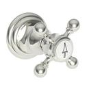 Newport Brass Polished Nickel 8-1/8 in. Brass Handle 